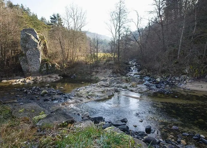 Дом отдыха L'ancienne Colonie - Maison Conviviale Au Bord De La Gazeille - 8 Pers *